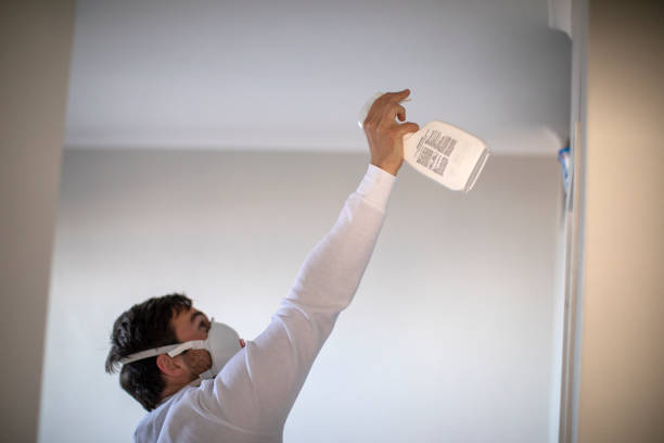 Attic Mold Removal in White Oak, PA